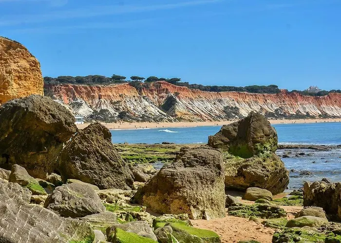 Casa Palmeiras - Com Piscina, Bbq E Ar Condicionado 阿尔布费拉