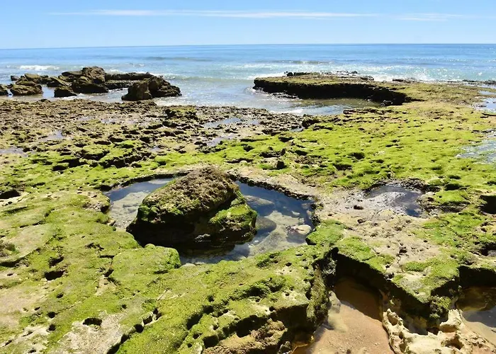 Casa Palmeiras - Com Piscina, Bbq E Ar Condicionado 别墅