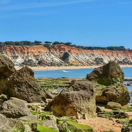 Casa Palmeiras - Com Piscina, Bbq E Ar Condicionado Albufeira
