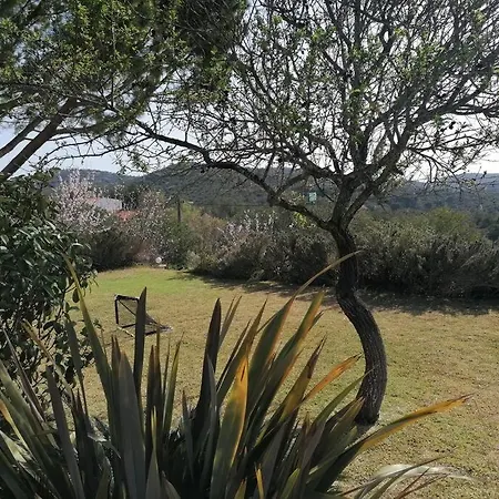 Villa Casa Palmeiras - Com Piscina, Bbq E Ar Condicionado